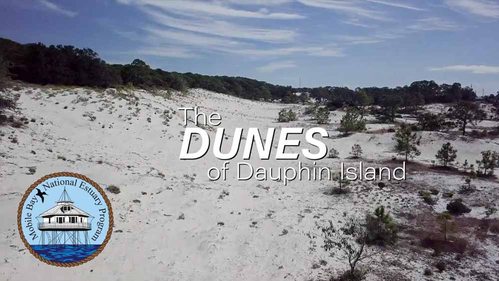 The Dunes of Dauphin Island