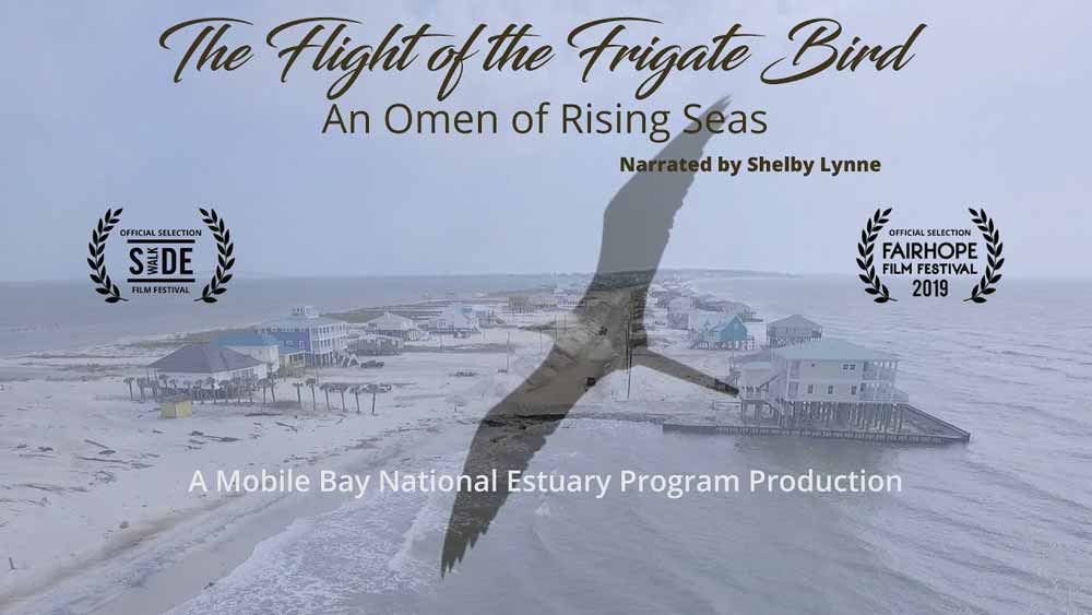 Flight of the Frigate Bird